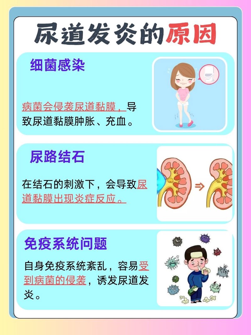 泌尿系结石是肾结石吗?别让误解影响健康